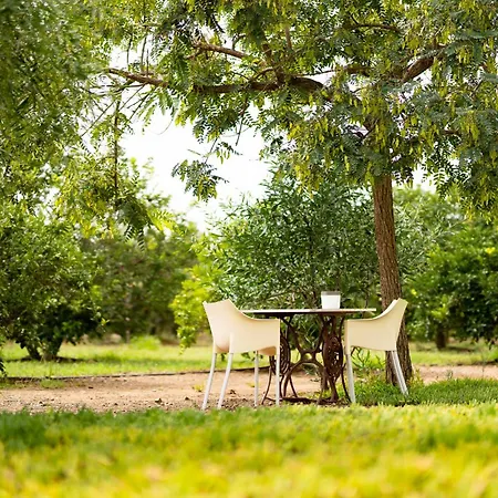 Séjour à la campagne Mas Montbrio Belvedere Cambrils