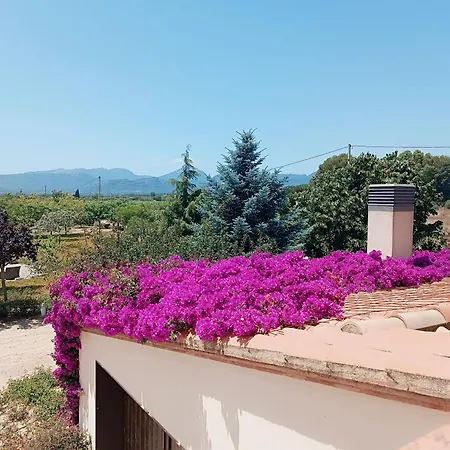 Mas Montbrio Belvedere Gospodarstwo wiejskie Cambrils